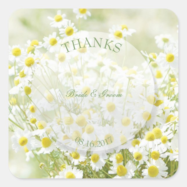 Pegatina Cuadrada Summerfield Daisies Chamomile Flower Boda Gracias (Anverso)