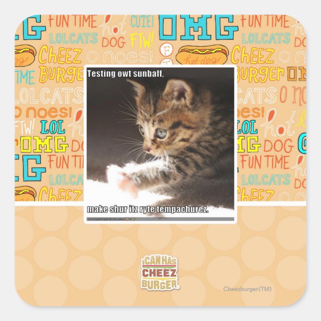 Pegatina Cuadrada Sunbaff del owt de la prueba (Anverso)