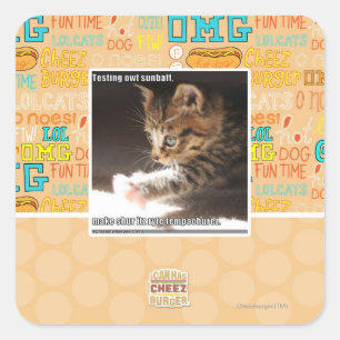 Pegatina Cuadrada Sunbaff del owt de la prueba