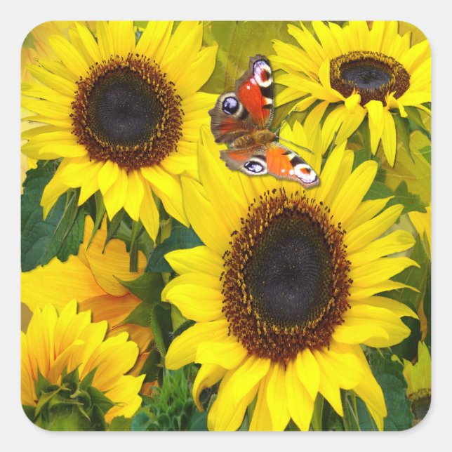 Pegatina Cuadrada Sunflower (Anverso)