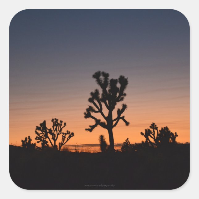 Pegatina Cuadrada Sunset Joshua Trees (Anverso)