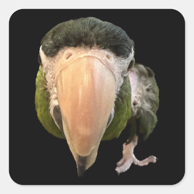 Pegatina Cuadrada superpegatinas de error mágico (Anverso)