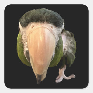 Pegatina Cuadrada superpegatinas de error mágico