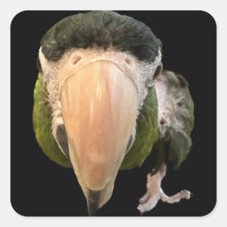 Pegatina Cuadrada superpegatinas de error mágico