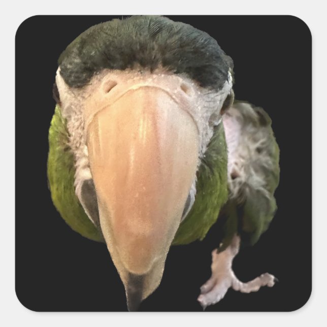 Pegatina Cuadrada superpegatinas de error mágico (Anverso)