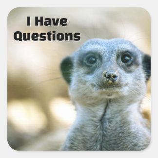 Pegatina Cuadrada Suricata Divertida Tengo Preguntas Humor Animal