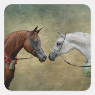 Pegatina Cuadrada Surreal dos caballos pintando.