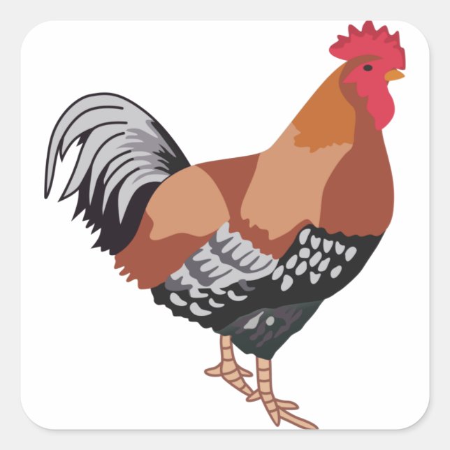 PEGATINA CUADRADA SUSSEXO ESPECIFICADO (Anverso)