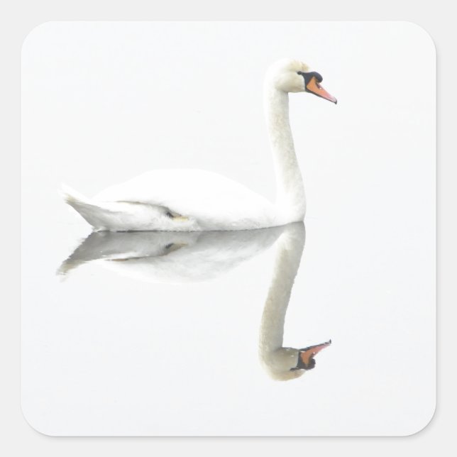 Pegatina Cuadrada Swan (Anverso)