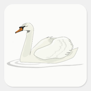 Pegatina Cuadrada Swan