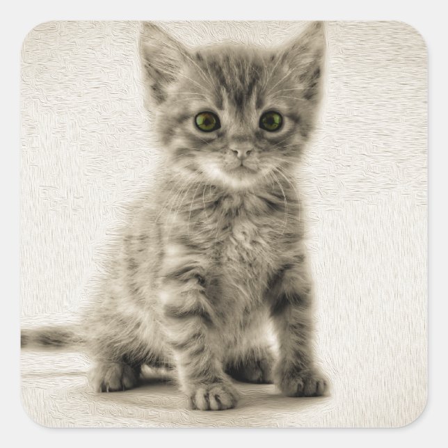 Pegatina Cuadrada Tabby Kitty (Anverso)