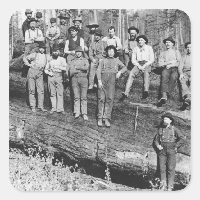 Pegatina Cuadrada Tableros de madera en California, 1891 (Anverso)