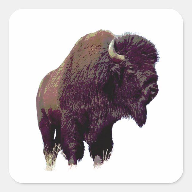 Pegatina Cuadrada Tarjeta de Bisonte Búfalo (Anverso)