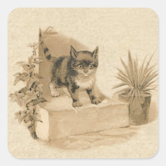 Pegatina Cuadrada Tarjeta francesa antigua de dibujos de gatos de ép