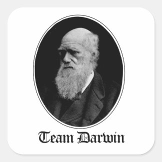 Pegatina Cuadrada Team Darwin