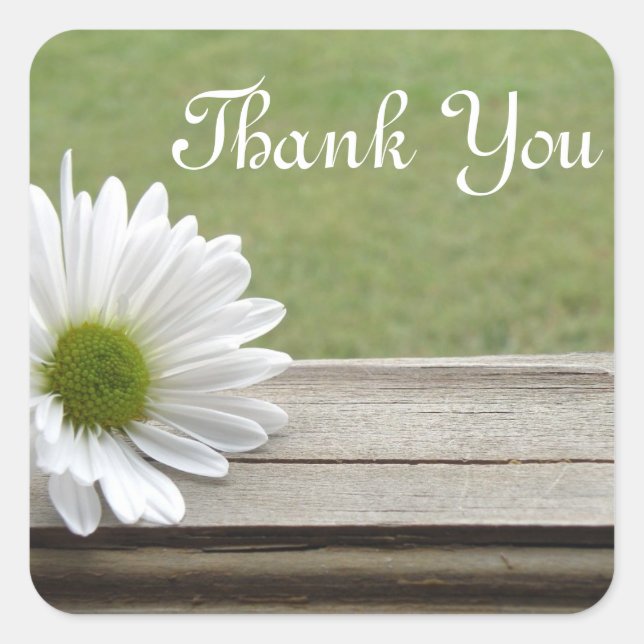 Pegatina Cuadrada Tema de Daisy (Anverso)