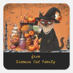 Pegatina Cuadrada tema de Halloween para amantes de los gatos con ca