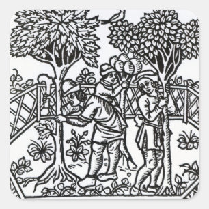 Pegatina Cuadrada Tending Vines