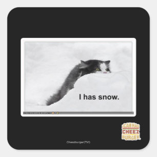 Pegatina Cuadrada Tengo nieve.