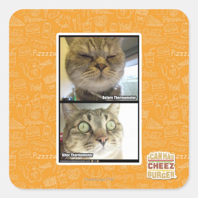 Pegatina Cuadrada Termómetro (Anverso)