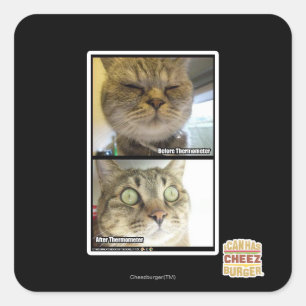 Pegatina Cuadrada Termómetro