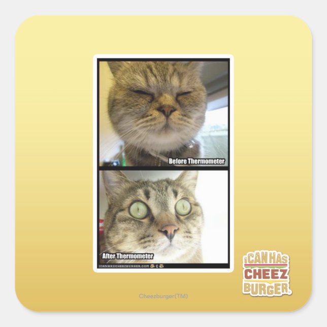 Pegatina Cuadrada Termómetro (Anverso)