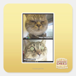 Pegatina Cuadrada Termómetro