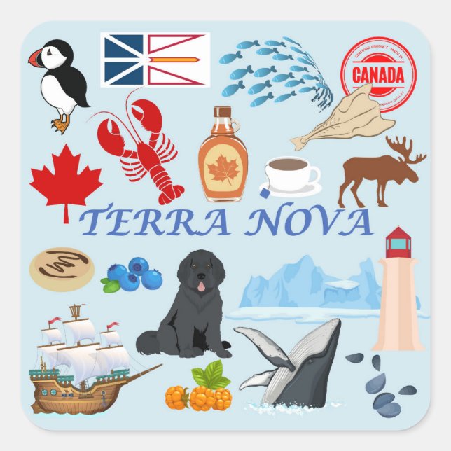 Pegatina Cuadrada Terra Nova Newfoundland (Anverso)