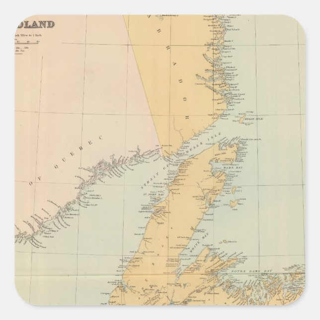 Pegatina Cuadrada Terranova (Anverso)