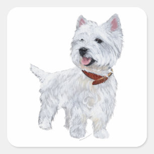 Pegatina Cuadrada Terrier Blanco de las Tierras Altas Occidentales