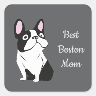 Pegatina Cuadrada Terrier de Boston