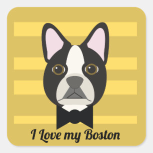 Pegatina Cuadrada Terrier de Boston