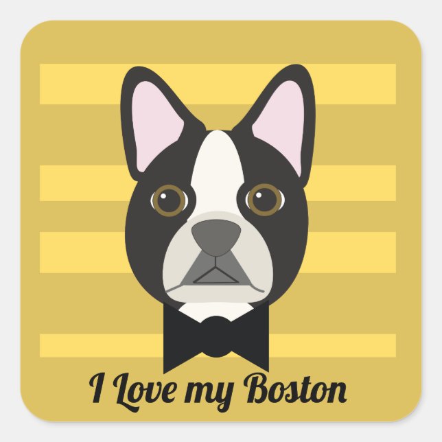 Pegatina Cuadrada Terrier de Boston (Anverso)
