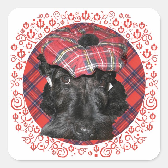 Pegatina Cuadrada Terrier escocés en tartán (Anverso)