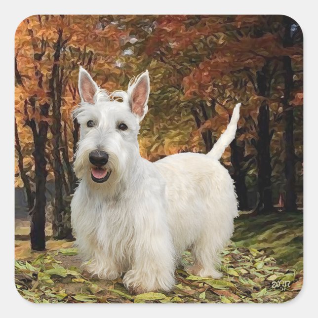 Pegatina Cuadrada Terrier Escocés Trigo Otoño (Anverso)