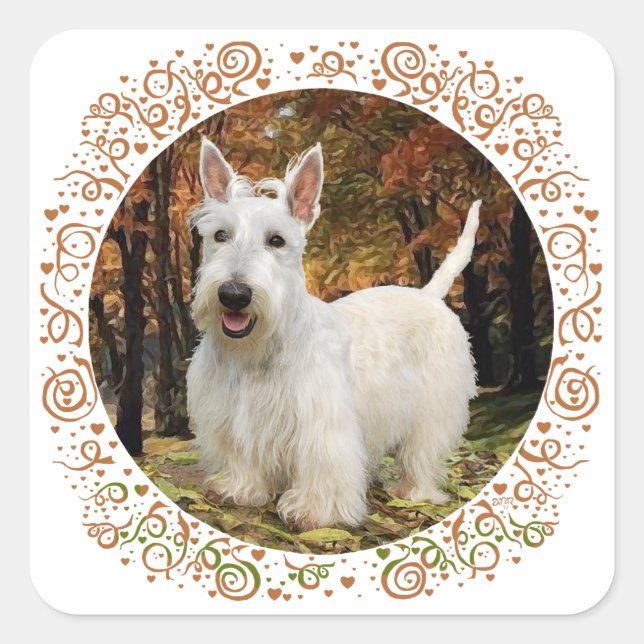 Pegatina Cuadrada Terrier Escocés Trigo Otoño (Anverso)