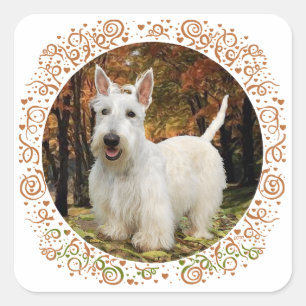 Pegatina Cuadrada Terrier Escocés Trigo Otoño