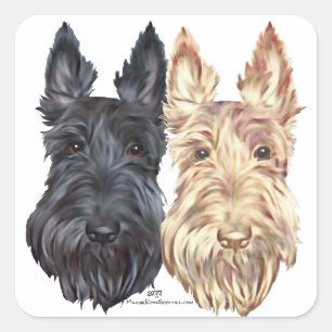 Pegatina Cuadrada Terriers Escoceses Negros y Trigo