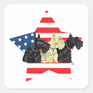 Pegatina Cuadrada Terriers escoceses patrióticos en estrella