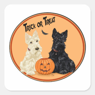 Pegatina Cuadrada Terriers escoceses trigueños y negros Halloween