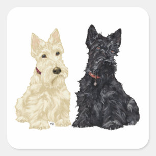 Pegatina Cuadrada Terriers Escoceses Wheaten y Negros