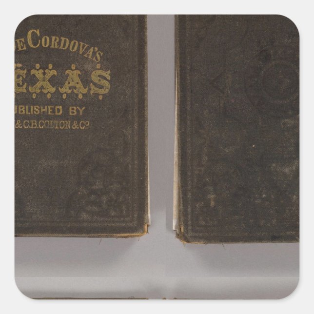 Pegatina Cuadrada Texas 6 (Anverso)