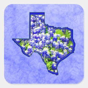 PEGATINA CUADRADA TEXAS BLUEBONNETS