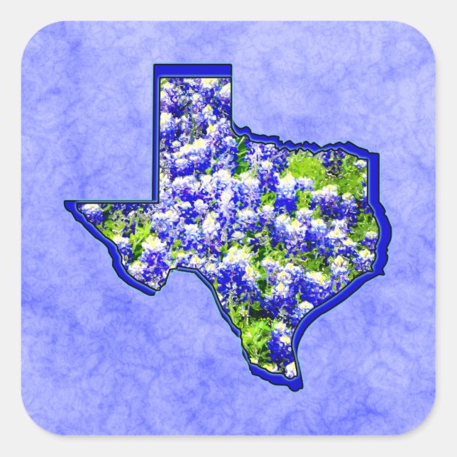 PEGATINA CUADRADA TEXAS BLUEBONNETS (Anverso)