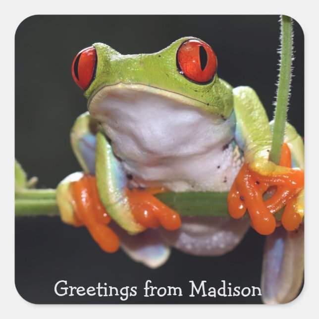 Pegatina Cuadrada Texto del personalizado Rana (Anverso)