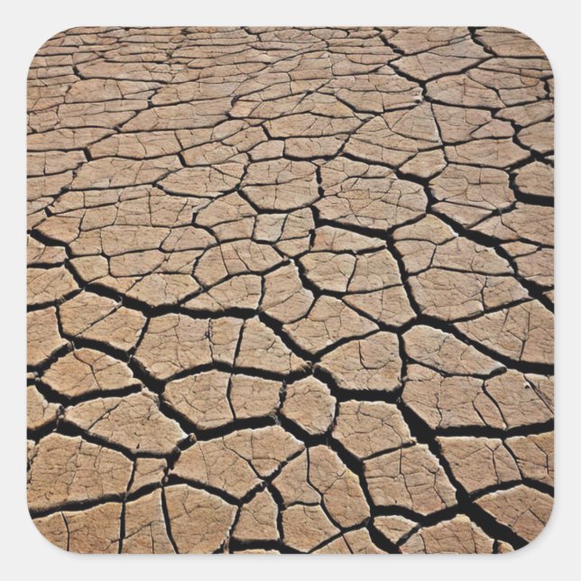 Pegatina Cuadrada Textura del desierto (Anverso)