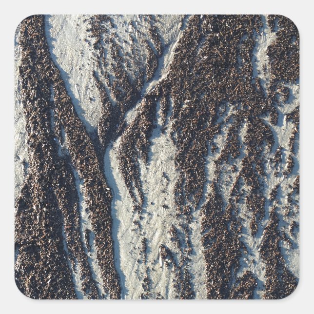 Pegatina Cuadrada texturas de playa con algas marinas (Anverso)