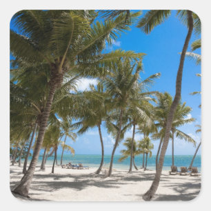 Pegatina Cuadrada The Moorings Resort, Marathon, Key West, 2