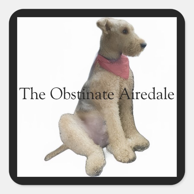 Pegatina Cuadrada The Obstinate Airedale Sticker (Anverso)
