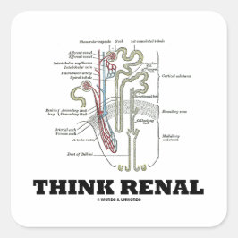 Pegatina Cuadrada Think Renal (Ilustracion de Anatomía de Nephron)